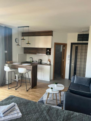 STUDIO 33 Luxury&Spa Zlatibor